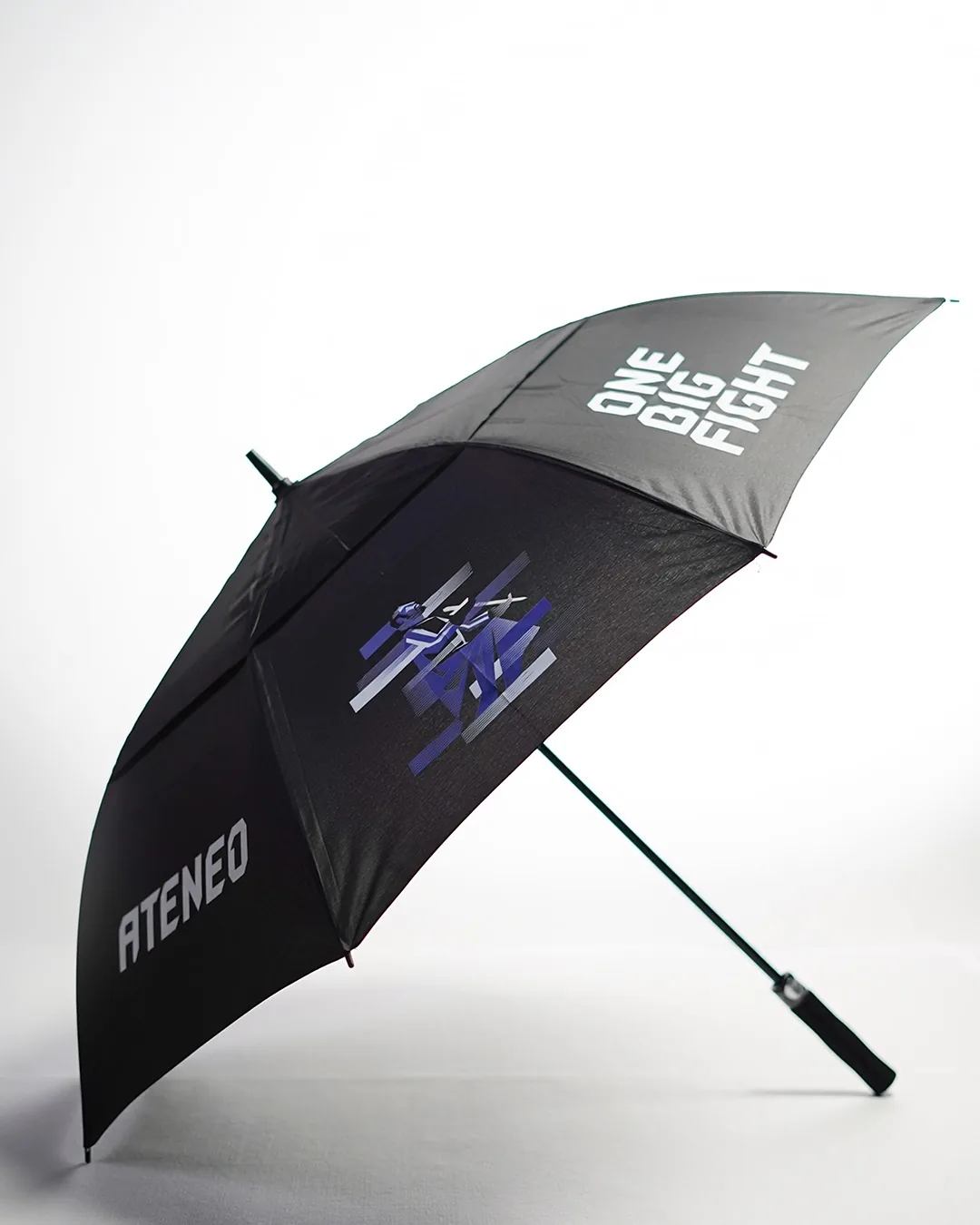 The One Big Fight umbrella